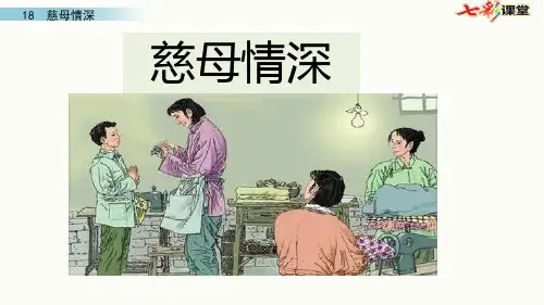 18 慈母情深 第一课时