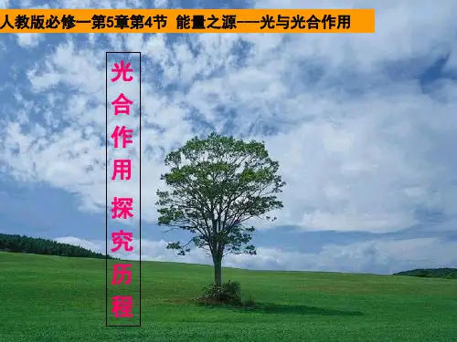 人教版高中生物必修一第5章第4节 能量之源---光和光合作用  课件(共13张PPT)