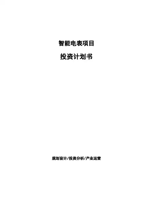 智能电表项目投资计划书 (1)