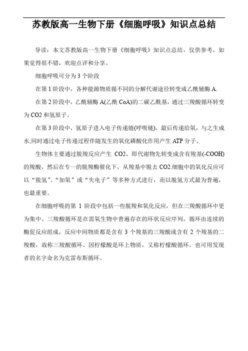 苏教版高一生物下册《细胞呼吸》知识点总结