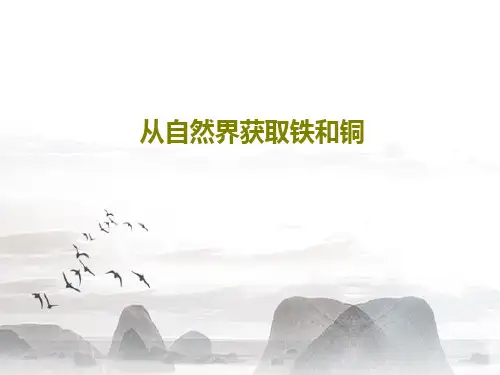 从自然界获取铁和铜38页PPT