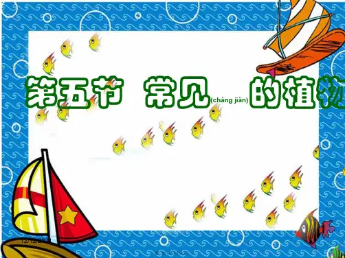 七年级科学上册第二章第五节常见的植物_1