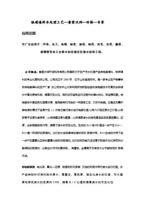 铁碳填料处理工艺