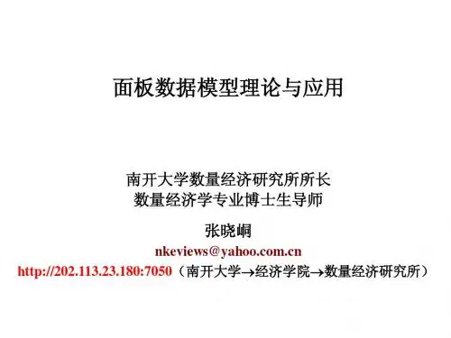 面板数据模型理论与应用