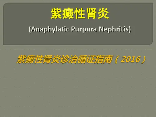 紫癜性肾炎【最新诊治循证指南(2016)】