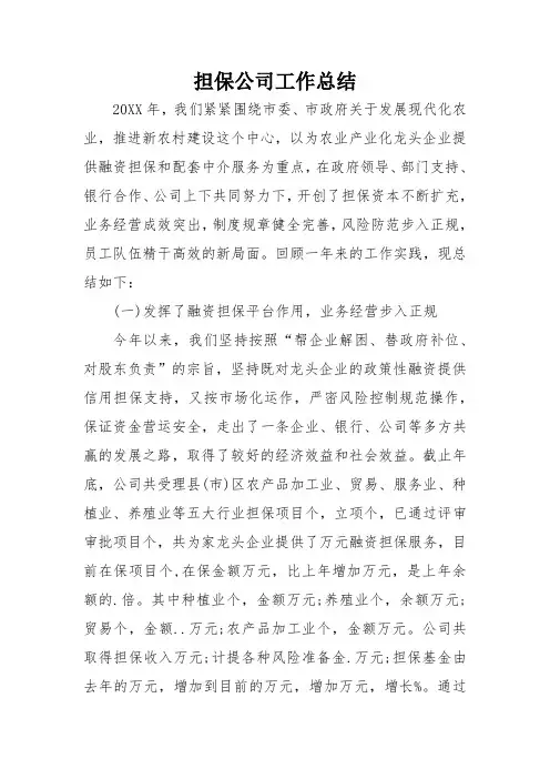 担保公司工作总结