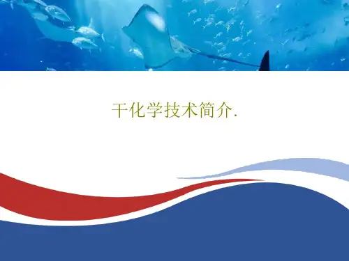 干化学技术简介.48页PPT