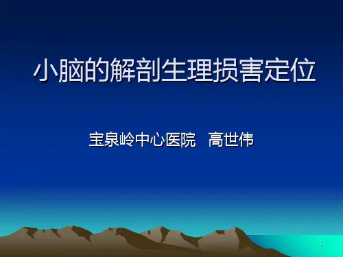 小脑解剖生理ppt课件