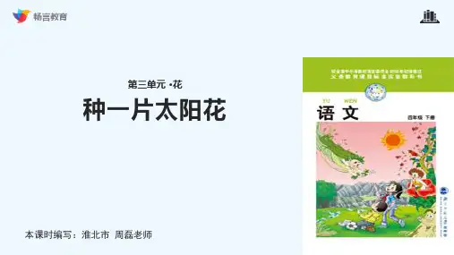 种一片太阳花课文讲解