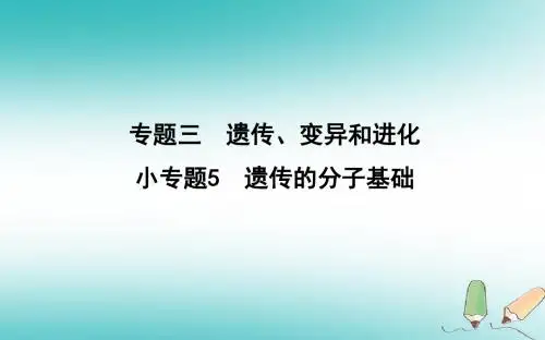 2018届高考生物二轮复习小专题5遗传的分子基础课件