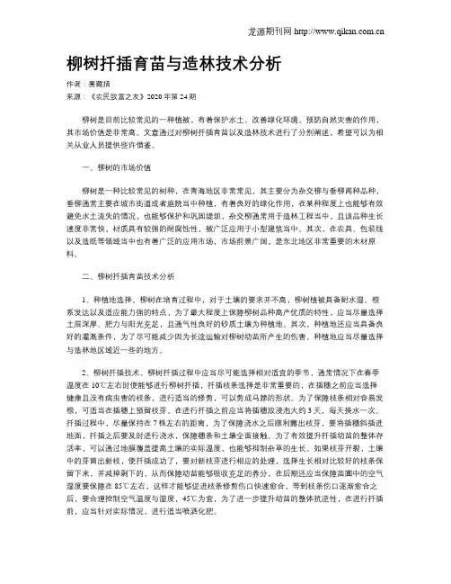 柳树扦插育苗与造林技术分析