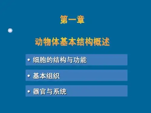 动物体基本构成(精品课件)