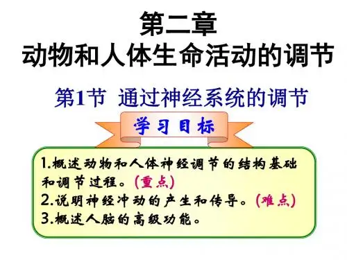 人教版生必修三2.1《通过神经系统的调节》课件 (共46张PPT)