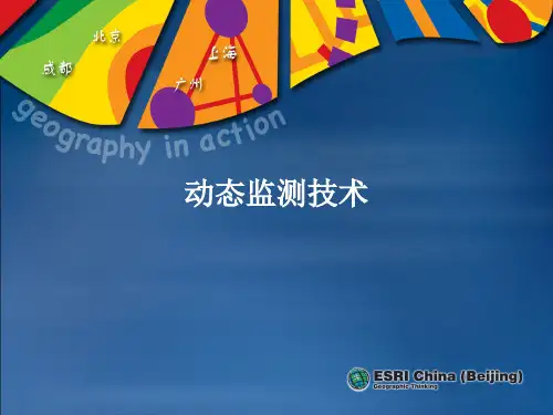 动态监测技术
