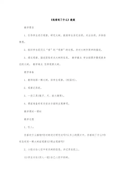 一年级科学《我看到了什么》教案