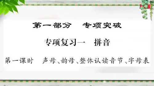 人教版小学语文总复习课件_专项复习-1 拼音_1.声母、韵母、整体认读音节、字母表