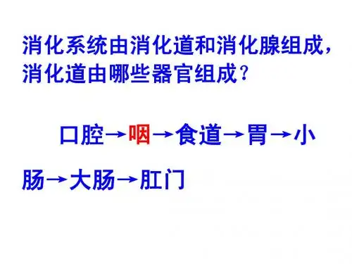 呼吸系统的组成