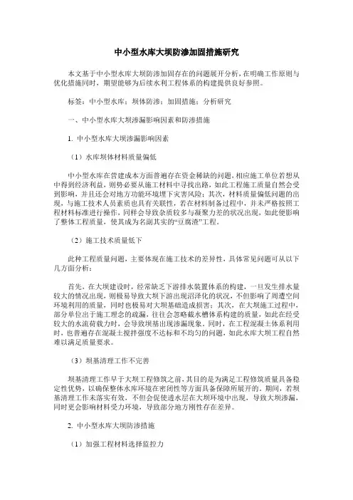中小型水库大坝防渗加固措施研究