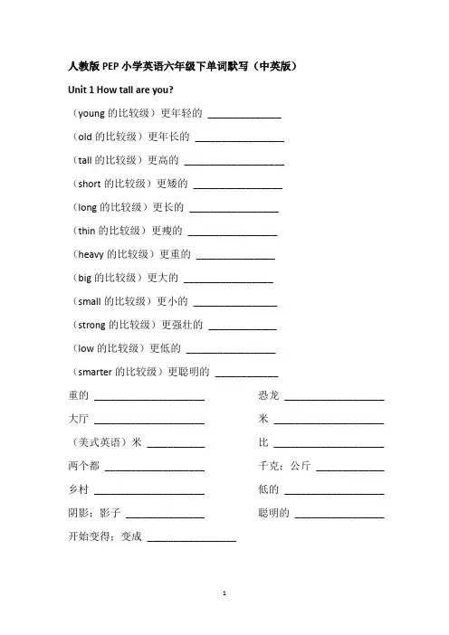 (完整)人教版PEP小学英语六年级下单词默写(中英版)