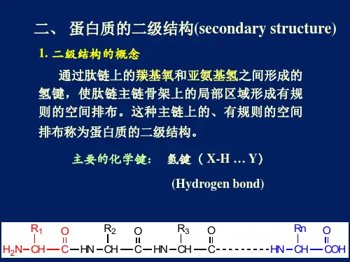 02蛋白质化学2 南开大学生物化学课件