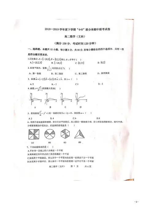 2018-2019学年广西南宁市马山县金伦中学等校4 N联合体高二下学期期中考试数学(文)试题 扫描版