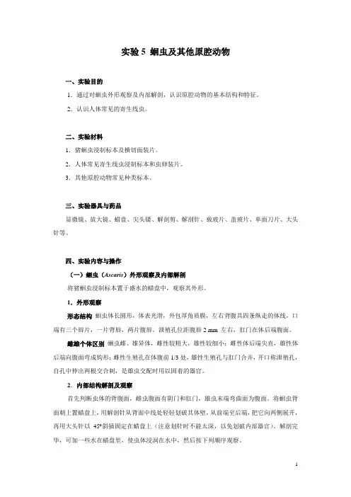 实验四 寄生蠕虫及粪便内蠕虫卵检查