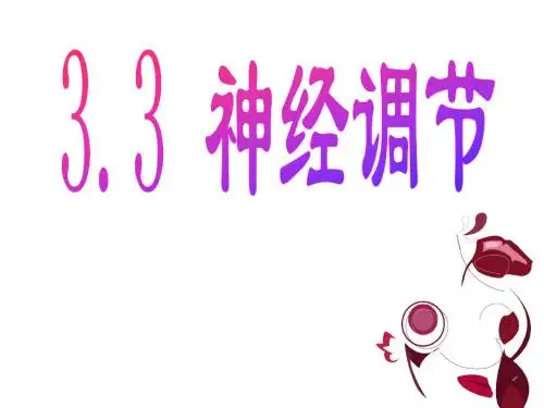 3.3神经调节(用)