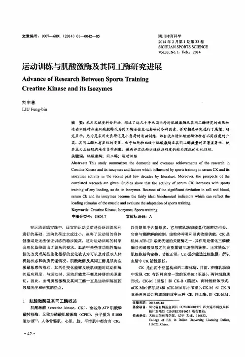 运动训练与肌酸激酶及其同工酶研究进展