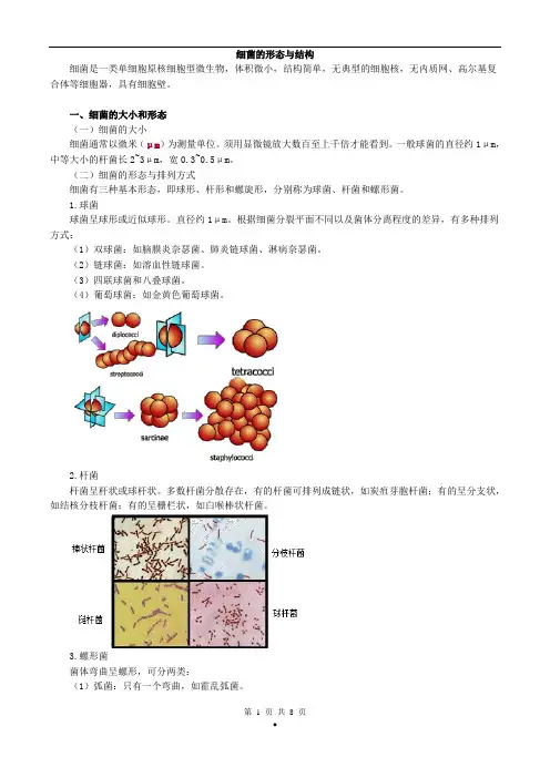 2017年初级检验技师《微生物检验》讲义第2章细菌的形态与结构