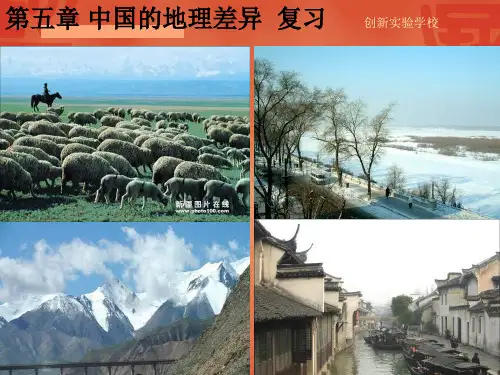 人教版八年级地理下册《中国地理差异复习》课件 (共25张PPT)