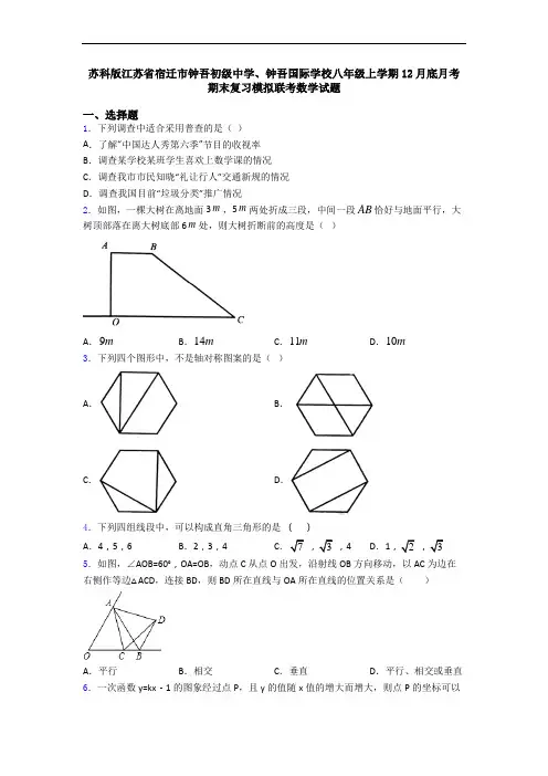 苏科版江苏省宿迁市钟吾初级中学、钟吾国际学校八年级上学期12月底月考期末复习模拟联考数学试题