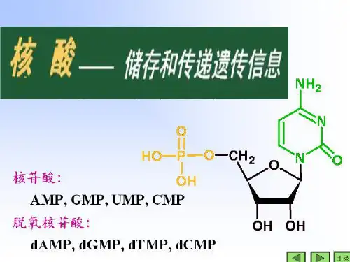 基因工程(生物化学)
