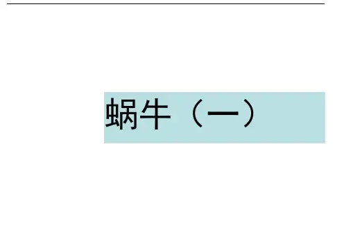 三年级上册科学课件-2.2蜗牛(一)教科版(共14张PPT)