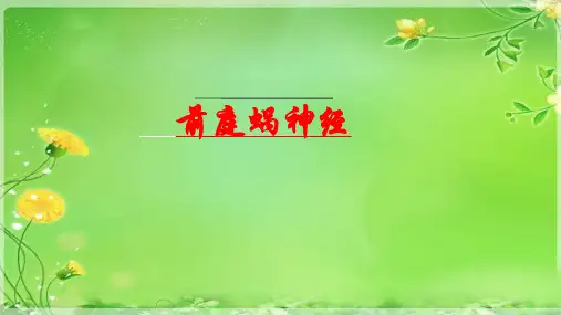 前庭神经(讲座培训课件)