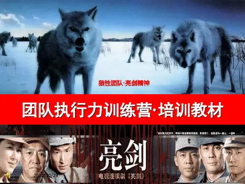 团队执行力训练营培训教材