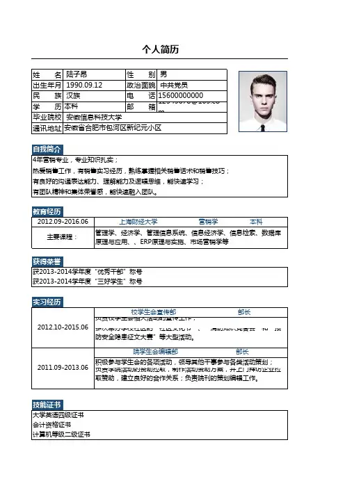 个人简历-表格简历04