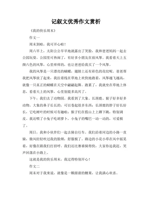 记叙文优秀作文赏析