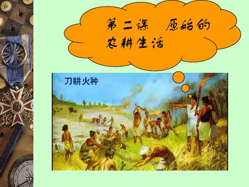第二课原始的农耕生活