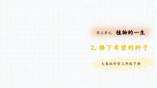 大象版小学科学新版三年级下册《播下希望的种子》