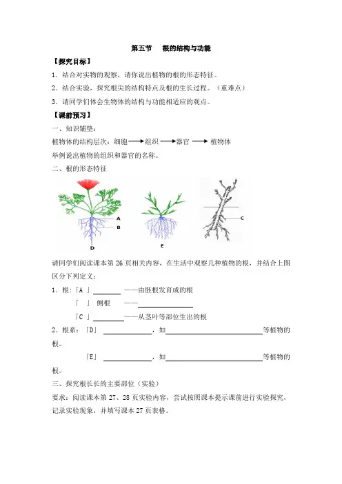 济南版八上生物第一章 绿色开花植物的一生第5节参考导学案1.doc