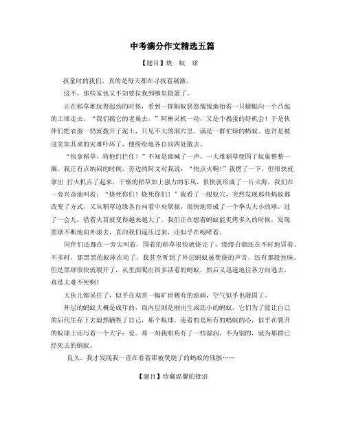 陕西中考满分作文精选5篇 (18)