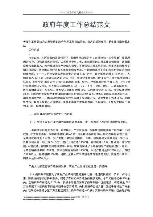2019年最新政府年度个人工作总结范本工作总结文档【五篇】