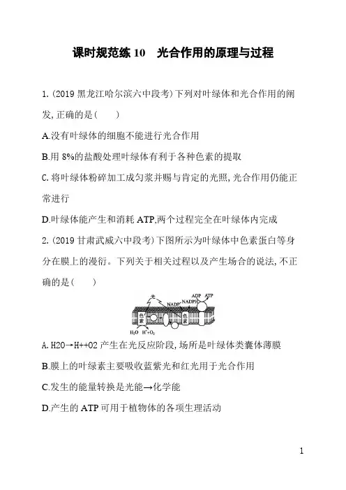 人教版高三生物课后习题(含答案)课时规范练10光合作用的原理与过程