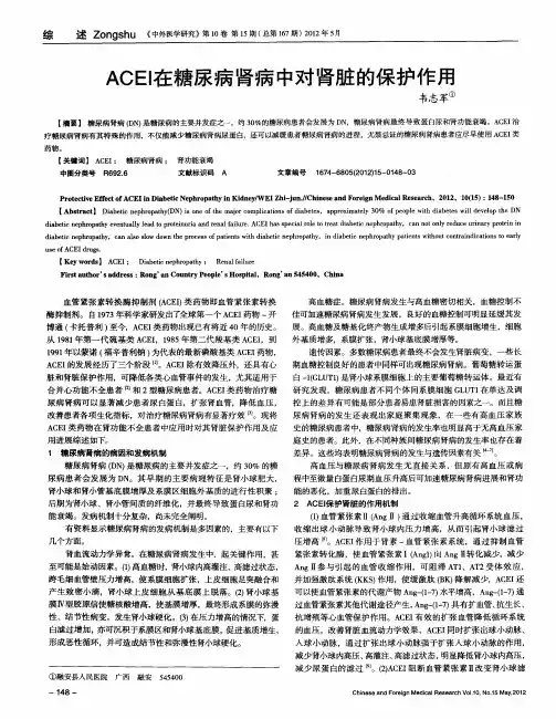 ACEI在糖尿病肾病中对肾脏的保护作用