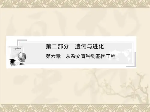 高中生物学业水平考试名师专题指导课件第2部分 第6章 从杂交育种到基因工程