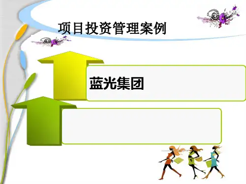 项目投资管理-蓝光集团项目投资管理案例分析