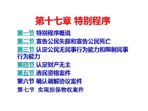 十六章特别程序