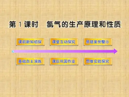 氯气的生产原理和性质课件