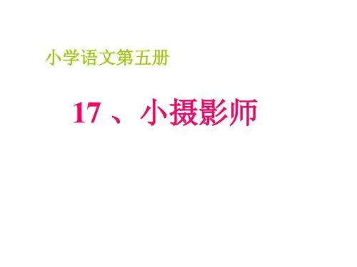 三年级语文小摄影家1