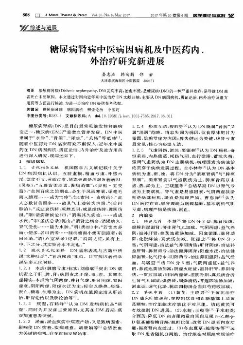 糖尿病肾病中医病因病机及中医药内、外治疗研究新进展